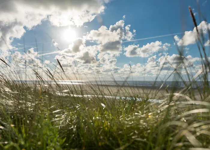 Appartementhaus Westerloog 02-balkon Jule *