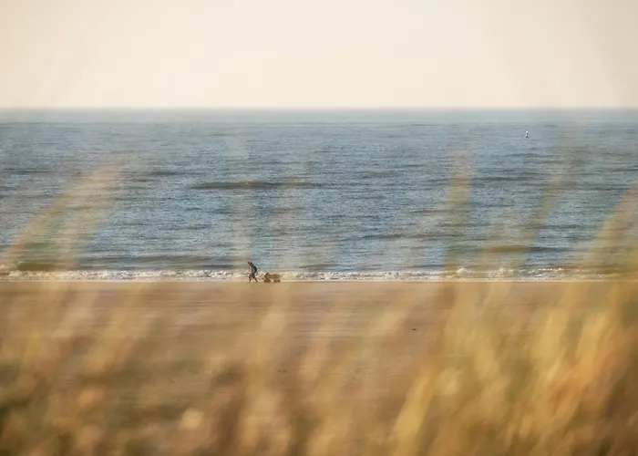 Appartementhaus Westerloog 02-balkon Jule Шпикерог